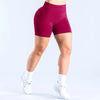 SPARK Seamless Workout Shorts for Women RXW3003