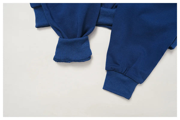 SPARK Autumn and Winter Loose Sweatshirt for Women ZC4509