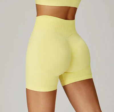 SPARK Seamless Yoga Fitness Shorts For Women ZC4513