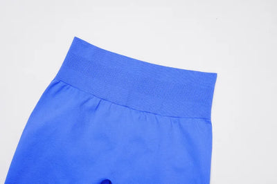 SPARK Seamless Yoga Fitness Shorts For Women ZC4513