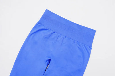 SPARK Seamless High Waist Tight Yoga Pants For Women ZC4513