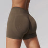SPARK Seamless Fitness Shorts 3 Inch Scrunch Butt Yoga Shorts for Women ZC3595
