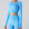 SPARK Seamless Long Sleeve Crop Top YJ0167