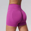 SPARK Seamless Fitness Shorts 3 Inch Scrunch Butt Yoga Shorts for Women ZC3595