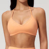 SPARK Thin-Strap V Neck Halter Yoga Fitness Bra ZC5555