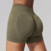 SPARK Seamless Fitness Shorts 3 Inch Scrunch Butt Yoga Shorts for Women ZC3595