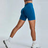 SPARK Athletic High Waist Seamless Shorts YJ0111