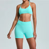 SPARK Seamless Scrunch Workout Shorts Set-Aquamarine