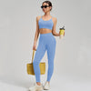 Seamless Sand Washed Yoga Two-piece Set in skyblue